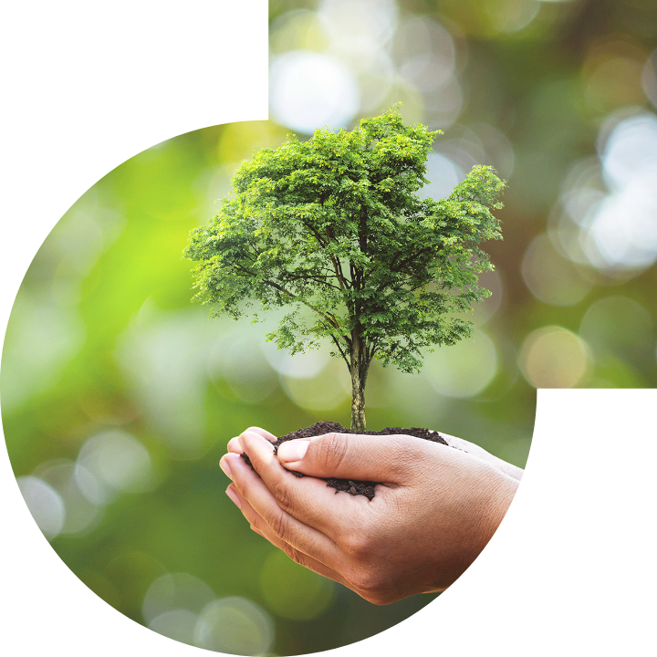 關懷人類、文化、環境與社會